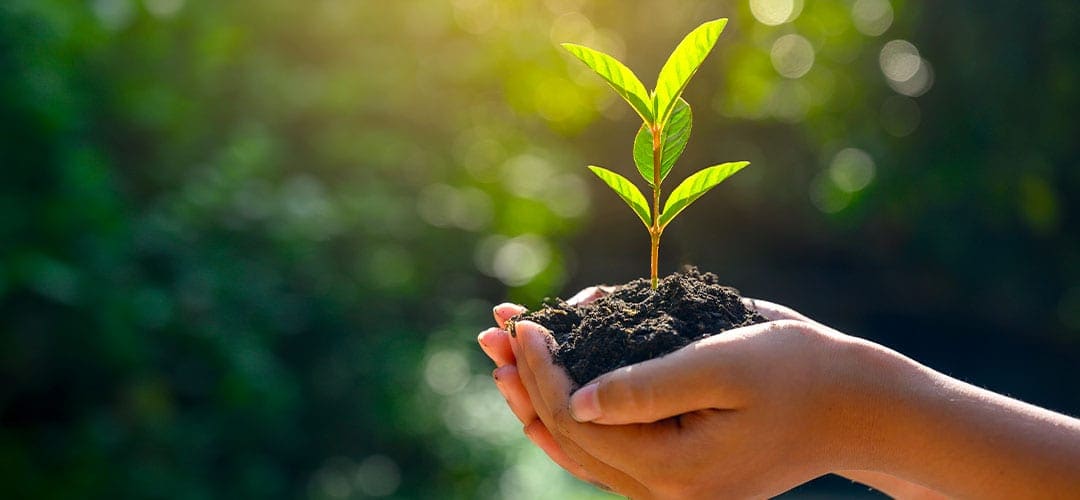 Impact Écologique — Reconversion & Dépollution — IGL